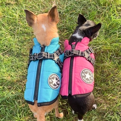 Sherpa Premium Waterproof Small Dog D Ring Coat Hot Pink 4 Sizes