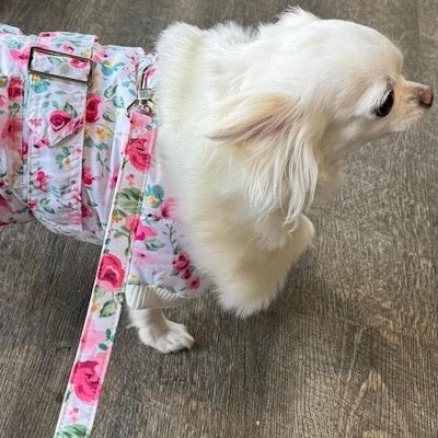 Urban Pup Chihuahua Puppy Chihuahua or Small Dog Floral Cascade Coat