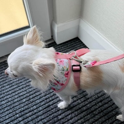 Urban Pup White Floral Cascade Dog Lead