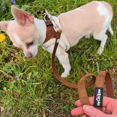 Tiny Trails Step In Soft Touch Suede Effect Faux Fur Lined Puppy and Small Dog Harness Aviator