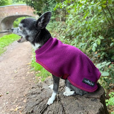 Tiny Toastie Water Repellent Fleece Dog Coat by My Pup and Me Berry Crush
