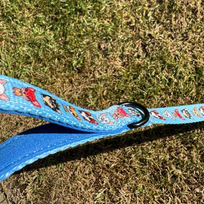 Exclusive Blue Chihuahua Signature Print Lead by My Chi and Me