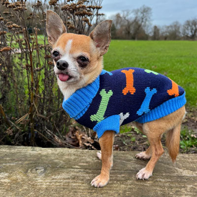 Blue Bones Design Jumper Chihuahua or Small Dog