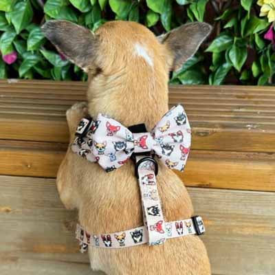 Smart Little Paws Chihuahua Print Exclusive Designer Bow Tie by My Chi and Me