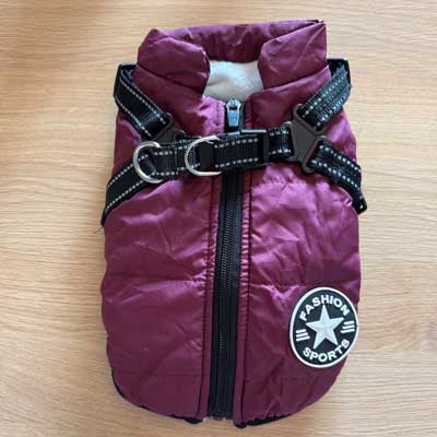 Waterproof Small Dog D Ring Coat Burgundy Medium - First Round Pre Production Sample SALE