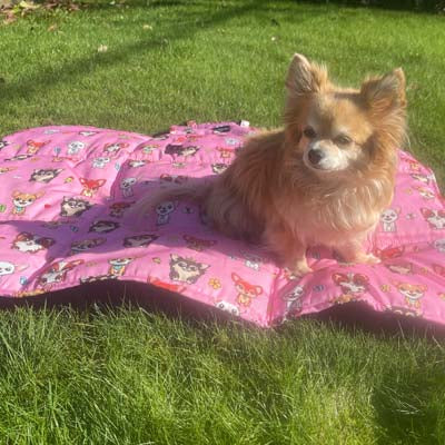 Roll and Go Signature Collection Padded Chihuahua Print Travel Mat by My Chi and Me