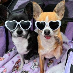 Heart Shaped Small Dog Pet Sunglasses Cool White