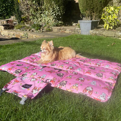 Roll and Go Signature Collection Padded Chihuahua Print Travel Mat by My Chi and Me