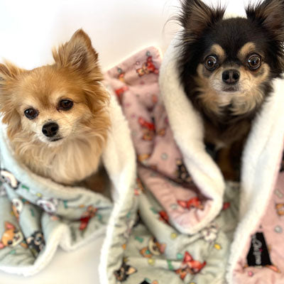 Chihuahua Print Willow Soft Cosy Fleece Blanket by My Chi and Me