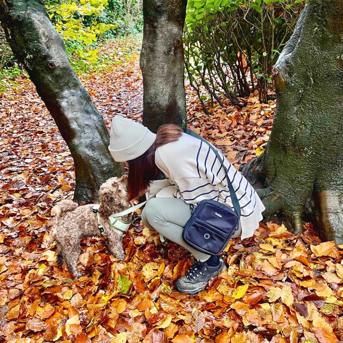 Mini Dog Walking Bag - Black