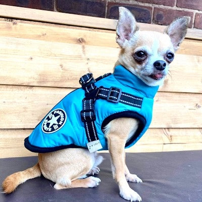 Sherpa Premium Waterproof Small Dog D Ring Coat