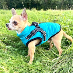 Sherpa Premium Waterproof Small Dog D Ring Coat
