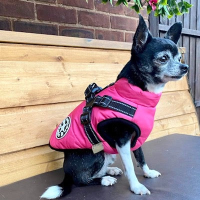 Sherpa Premium Waterproof Small Dog D Ring Coat Hot Pink 4 Sizes