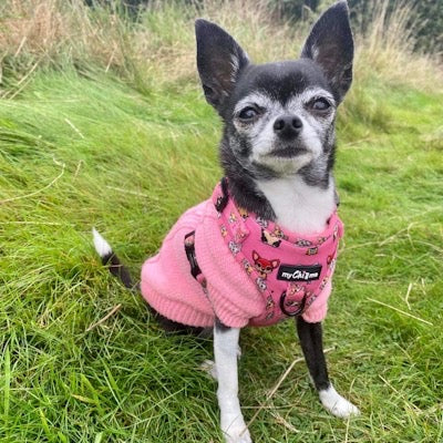 Small Dog Soft Cable Jumper Pink 7 Sizes