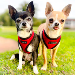 Sherpa Premium Waterproof Small Dog D Ring Coat