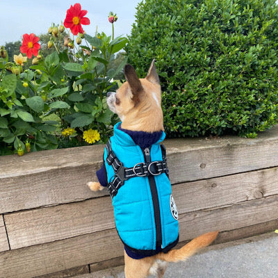 Sherpa Premium Waterproof Small Dog D Ring Coat