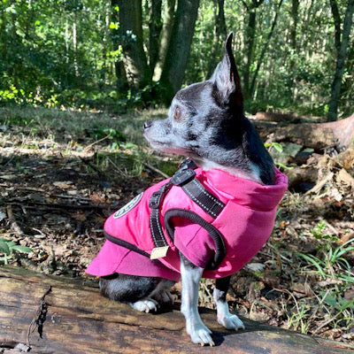 Sherpa Premium Waterproof Small Dog D Ring Coat