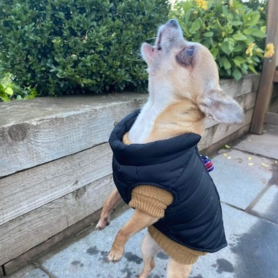 Small Dog Soft Cable Jumper Caramel 6 Sizes