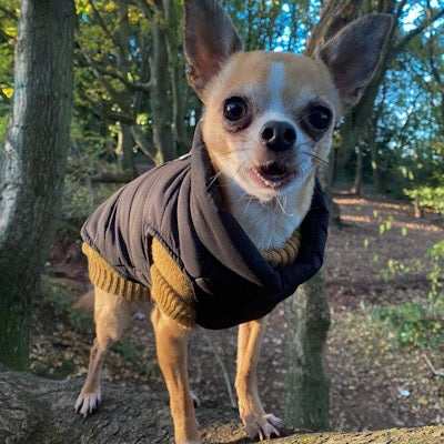 Small Dog Soft Cable Jumper Caramel 6 Sizes