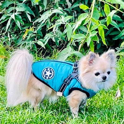 Sherpa Premium Waterproof Small Dog D Ring Coat Aquamarine 4 Sizes