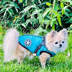 Sherpa Premium Waterproof Small Dog D Ring Coat Aquamarine 4 Sizes