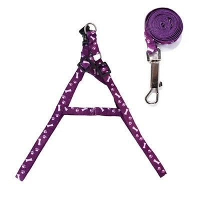 Chihuahua Puppy Harness Lead Set Paws & Bones Purple Light Webbing