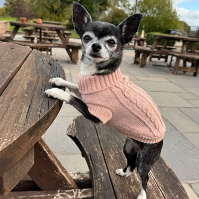 Small Dog Soft Cable Jumper Champagne Pink 6 Sizes