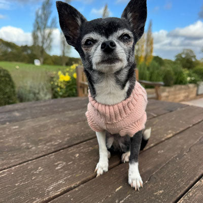 Small Dog Soft Cable Jumper Champagne Pink 6 Sizes