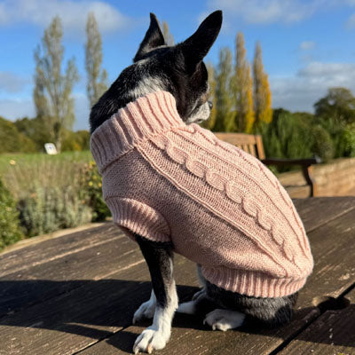Small Dog Soft Cable Jumper Champagne Pink 6 Sizes
