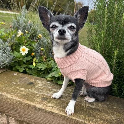 Small Dog Soft Cable Jumper Champagne Pink 6 Sizes