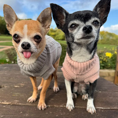 Small Dog Soft Cable Jumper Champagne Pink 6 Sizes