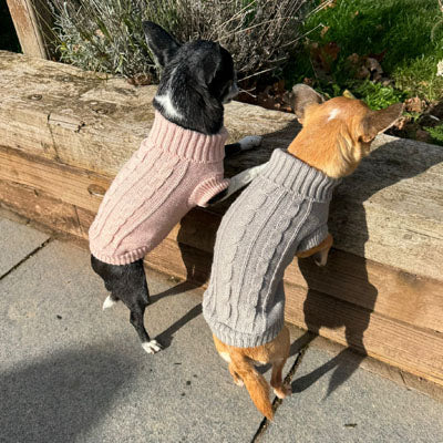 Small Dog Soft Cable Jumper Champagne Pink 6 Sizes