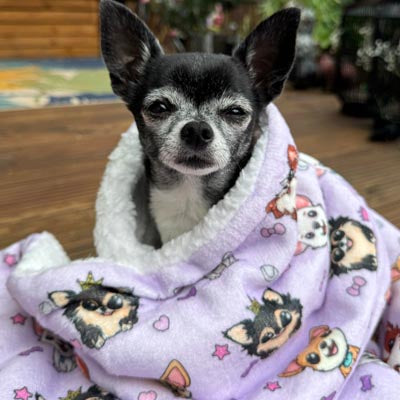 Chihuahua Print Soft Lilac Cosy Fleece Blanket by My Chi and Me