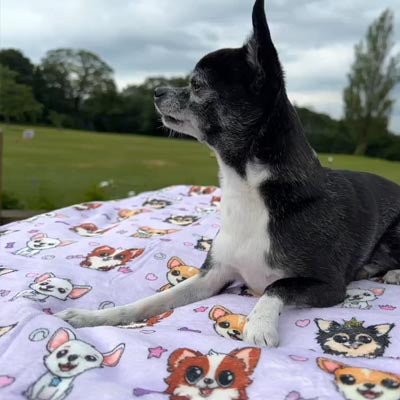 Chihuahua Print Soft Lilac Cosy Fleece Blanket by My Chi and Me