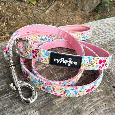 Luxury Meadow Floral Harness and Lead by My Pup and Me
