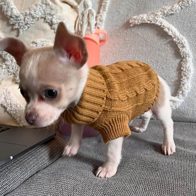 Small Dog Soft Cable Jumper Caramel 7 Sizes