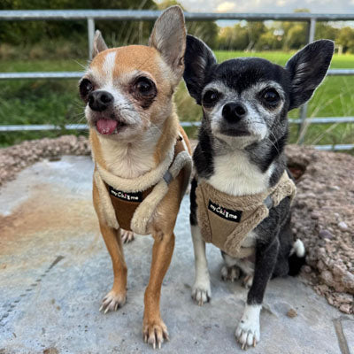 Tiny Trails Step In Soft Touch Suede Effect Faux Fur Lined Puppy and Small Dog Harness es in Mocha and Caramel by My Chi and Me