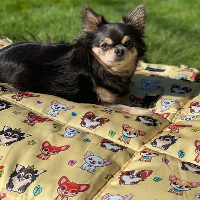 Roll and Go Signature Collection Beach Padded Chihuahua Print Travel Mat by My Chi and Me