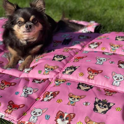 Roll and Go Signature Collection Padded Chihuahua Print Travel Mat by My Chi and Me