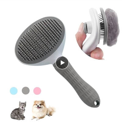 Premium Chihuahua or Small Dog Slicker Grooming Brush Oval