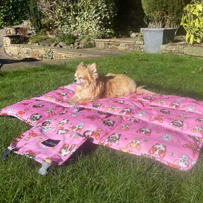 Roll and Go Signature Collection Padded Chihuahua Print Travel Mat by My Chi and Me