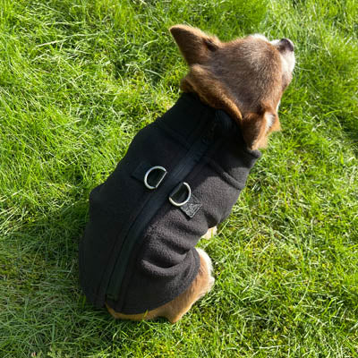 Step In Zipped Chihuahua or Small Dog Fleece Jumper with D Rings For Leash Black