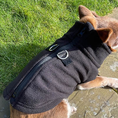 Step In Zipped Chihuahua or Small Dog Fleece Jumper with D Rings For Leash Black