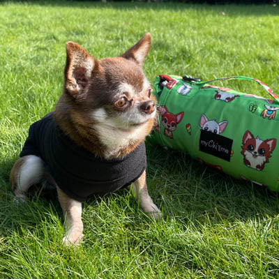 Step In Zipped Chihuahua or Small Dog Fleece Jumper with D Rings For Leash Black