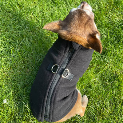 Step In Zipped Chihuahua or Small Dog Fleece Jumper with D Rings For Leash Black