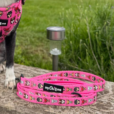 Exclusive Pink Chihuahua Signature Print Lead by My Chi and Me