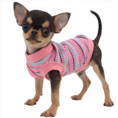 Chihuahua or Small Dog Cute Pink Striped Vest