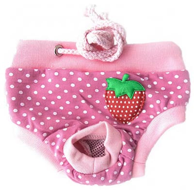 Chihuahua Season Pants Sanitary Menstruation Knickers Baby Pink on Pink Strawberry