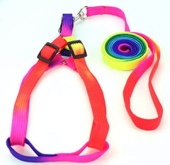 Super Value Pride Rainbow Webbing Puppy Small Dog Harness and Lead Set