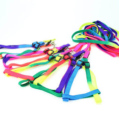 Super Value Pride Rainbow Webbing Puppy Small Dog Harness and Lead Set